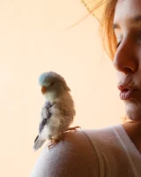 Zishy - 04-full_04_9601301235614