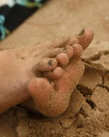 Zishy - 40-full_40_4900836030958