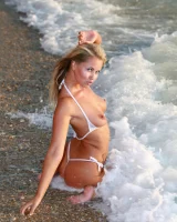 AV Erotica - 30-0030