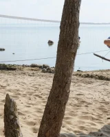 Club Sweethearts - 33-0042