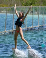 Katya Clover - 03-0003