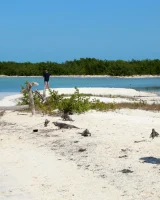 Katya Clover - 19-0020