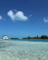 Katya Clover - 27-0028