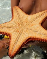 Katya Clover - 37-0038