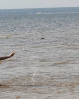 Glamour Bikini - 28-img_9672