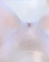 Mpl Studios - 48-amelia-stopover-0049