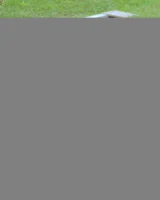 Teen Dreams - 45-0045